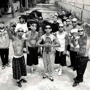 Meet your Posher, Rolando